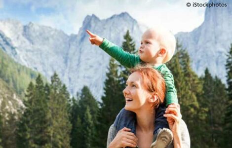 The Way to Reduce Your Environmental Risks