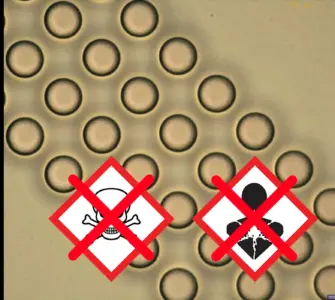 Three SEM images of a patterned wafer; superimposed hazardous substance pictograms crossed out in red; on the right, a green checkmark with the label “TMAH Free, NMP Free, DMSO Free” as a symbol for a lower-hazard alternative.