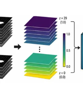 Surrogate diffusion simulation: Starting with a binary 2D mask, a set of random masks is first generated, which are then converted by a neural network into correlated distribution fields (speckle patterns). These fields serve as input for a 3D FDTD simulation model, which generates a stack of 2D intensity images with characteristic wave and interference patterns.